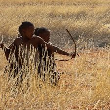 Ethnobotany and Ethnocide: an interview with Wade Davis